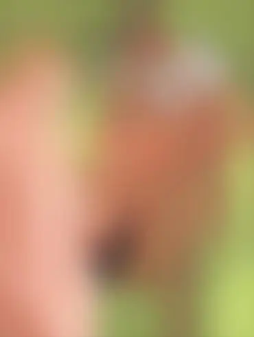 Tied Up Laos Hottie Connie King Of The Hill Spitroast Porn