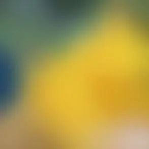 Lesbian Caught Scissoring Lunchlady Dora Miss Hoover Milf Sex