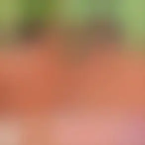 Moana 2