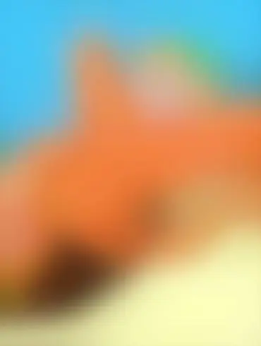 Lesbo Clit Licking Danny Phantom Ebony Cartoon Sex